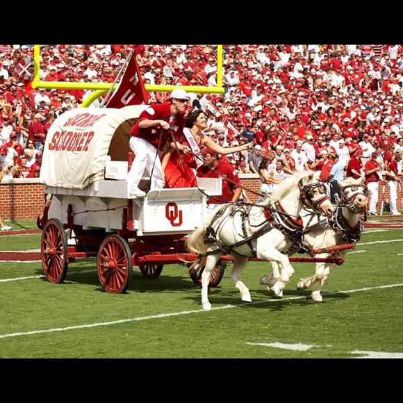 Meet your Posher, Michael - Picture 1 of 1